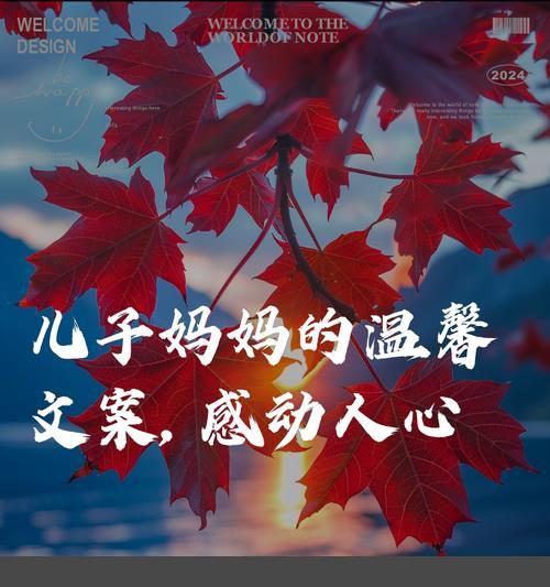 有关母亲节儿子出生文案短句的句子怎么写（《母子情深：诗赋春晖》）