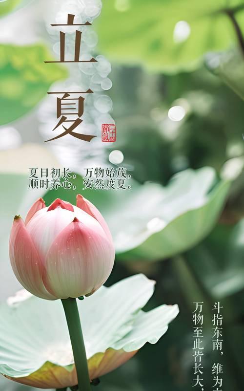 明天立夏的文案怎么写？（《立夏序：四时更迭，万物更新》）