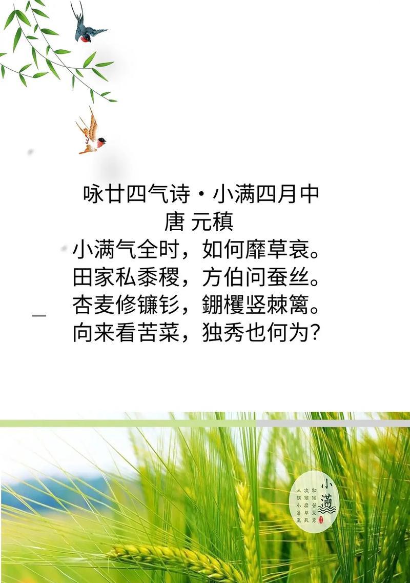写小满的现代七律诗句子好句有哪些？（《小满时节：细雨润物，诗意盎然》）