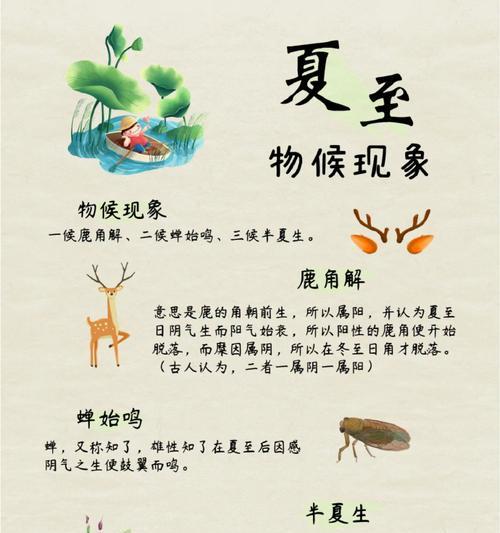 夏至节气如何体现廉洁之美？（《清风夏至：廉洁如夏花之绚烂》）