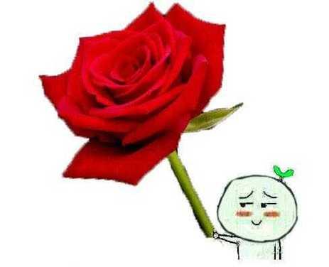 母亲节鲜花宣传语（《花香母恩深似海：母亲节之花语古风颂》）