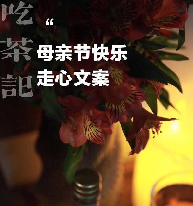 母亲节送什么？（《慈母手中线）