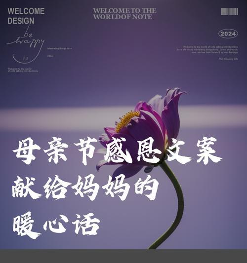 母亲节送什么？（《慈母手中线）