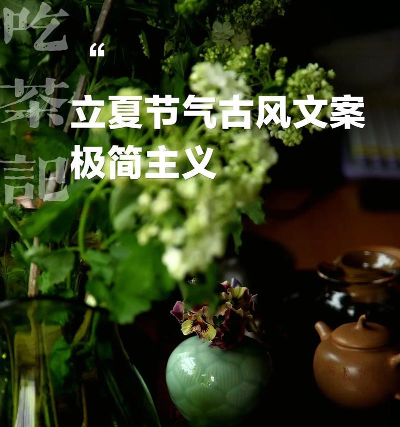 立夏时节如何用优美文案表达？（《立夏时节：墨香溢彩，文心绘景》）