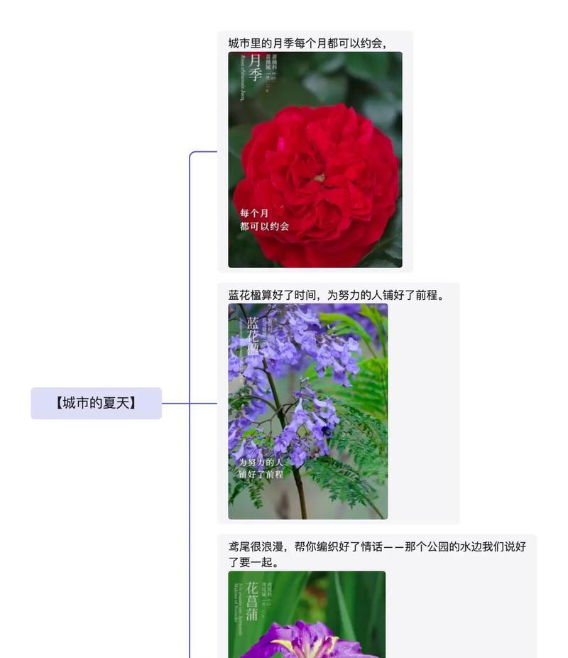 立夏植物作文怎么写？（《立夏的约定与成长的足迹》）