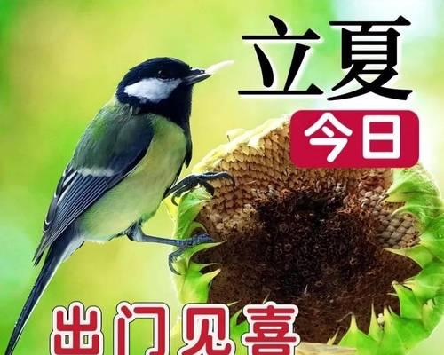 立夏祝福语朋友文案搞笑好句有哪些？（《立夏笑语：四季序曲·夏日戏谑》）