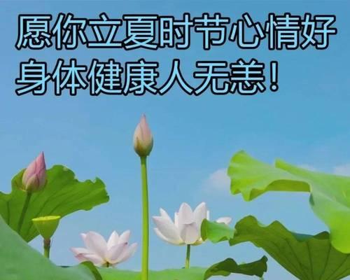 立夏祝福语朋友文案搞笑好句有哪些？（《立夏笑语：四季序曲·夏日戏谑》）