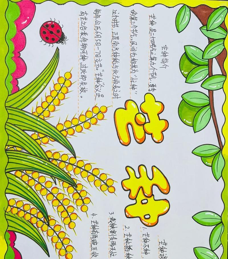 芒种节气海报（《芒种节气下的青春誓言》）