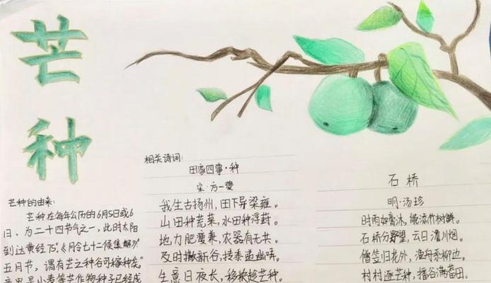 芒种节气海报（《芒种节气下的青春誓言》）