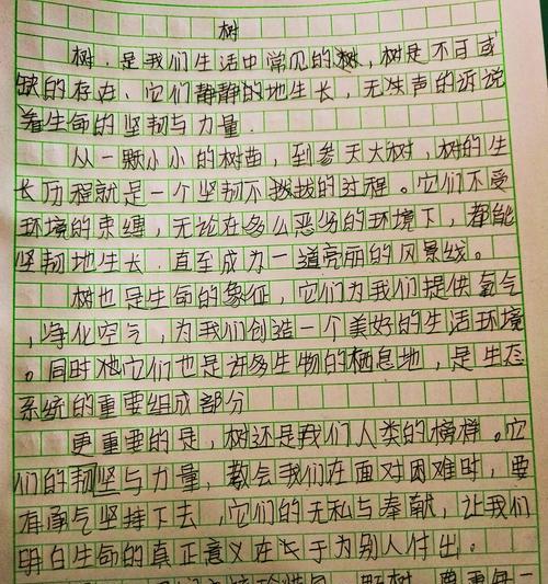 以小满和大满作文600字为话题的作文怎么写（《小满时节的成长篇章》）