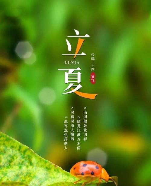 立夏蛋文案怎么写？（《立夏蛋香，岁月悠长》）