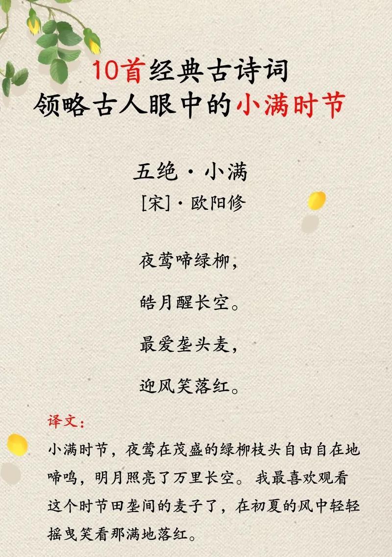 小满前后种什么农作物（《小满之时，物华天宝》）