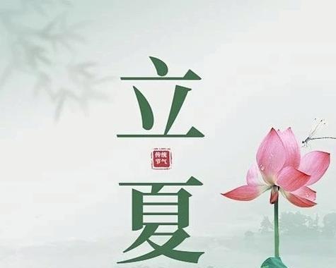 今日立夏如何报名学车？（《立夏学驾，诗意时光》）
