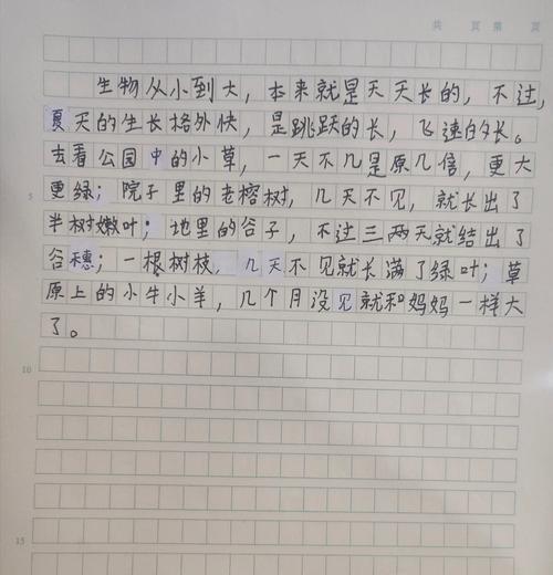 夏至草是什么花序（《夏至草叶间的故事》）