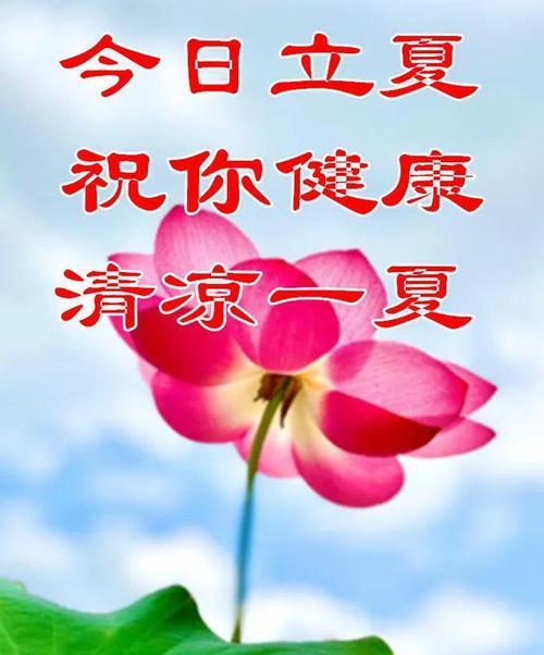 立夏祝福语有哪些？（《夏之初，祝福绵绵》）