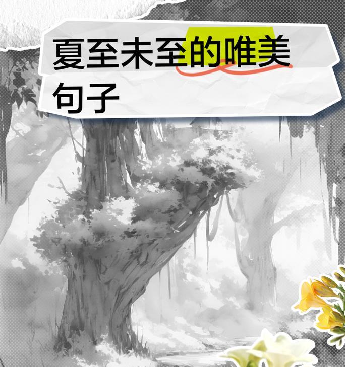 夏至未至含义深刻的话（《夏至未至：幽梦一帘风月无边》）