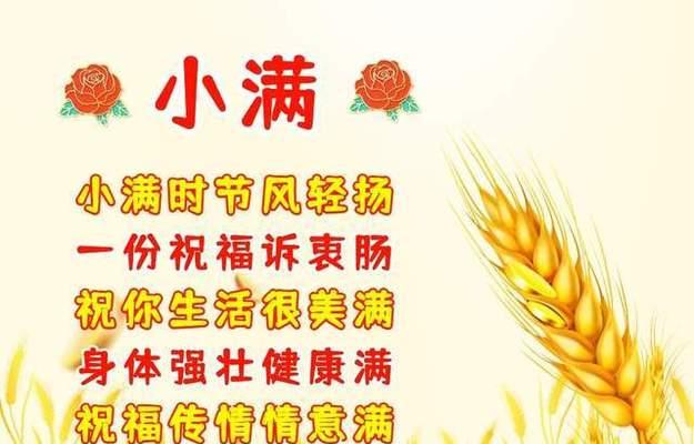 有关小满祝您圆满的句子怎么写的好句摘抄（《小满风雅颂：祈愿圆满之篇》）