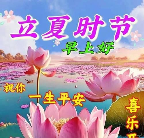 立夏斗蛋第一名祝福语好句是什么？（《立夏斗蛋赢天下，祝福语中绘风雅》）