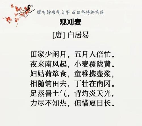 观刈麦含义（《麦香古韵：芒种时节的诗意赋》）