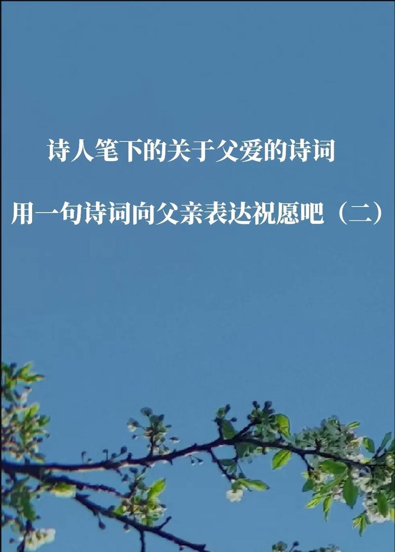 古风父亲节句子好句有哪些？（《孝心绘卷：父亲节古风吟咏》）
