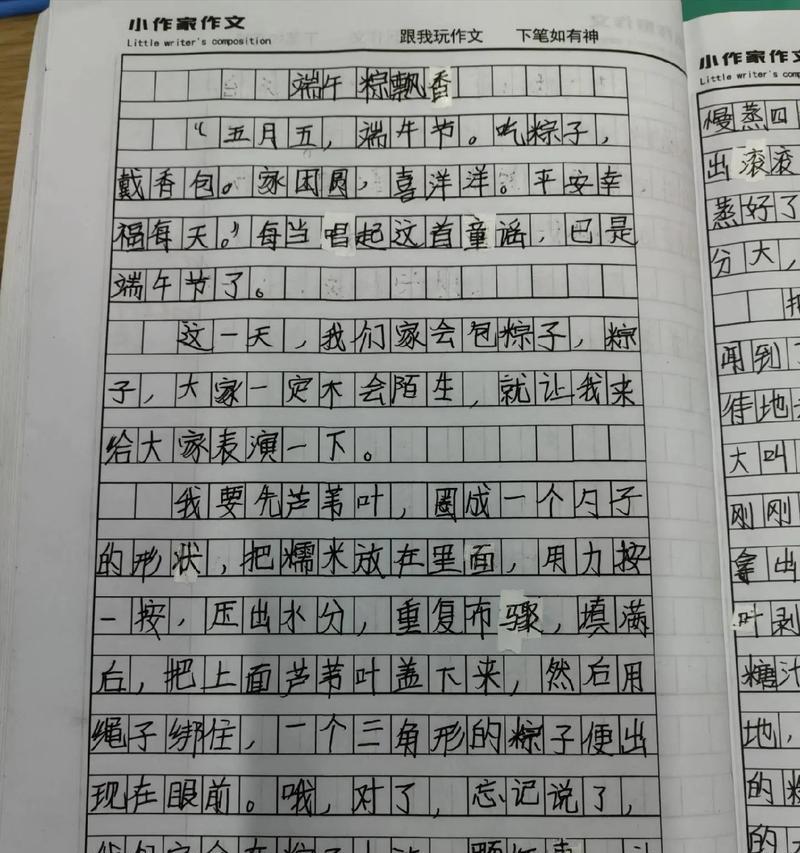 关于端午节的一篇作文怎么写（《屈原精神，吾辈承传》）