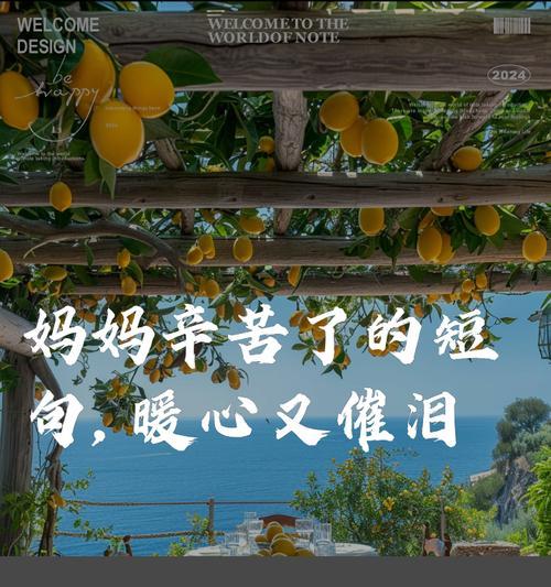 母亲节妈妈辛苦语录好句有哪些？（《萱草花开：母亲的辛劳与恩泽》）