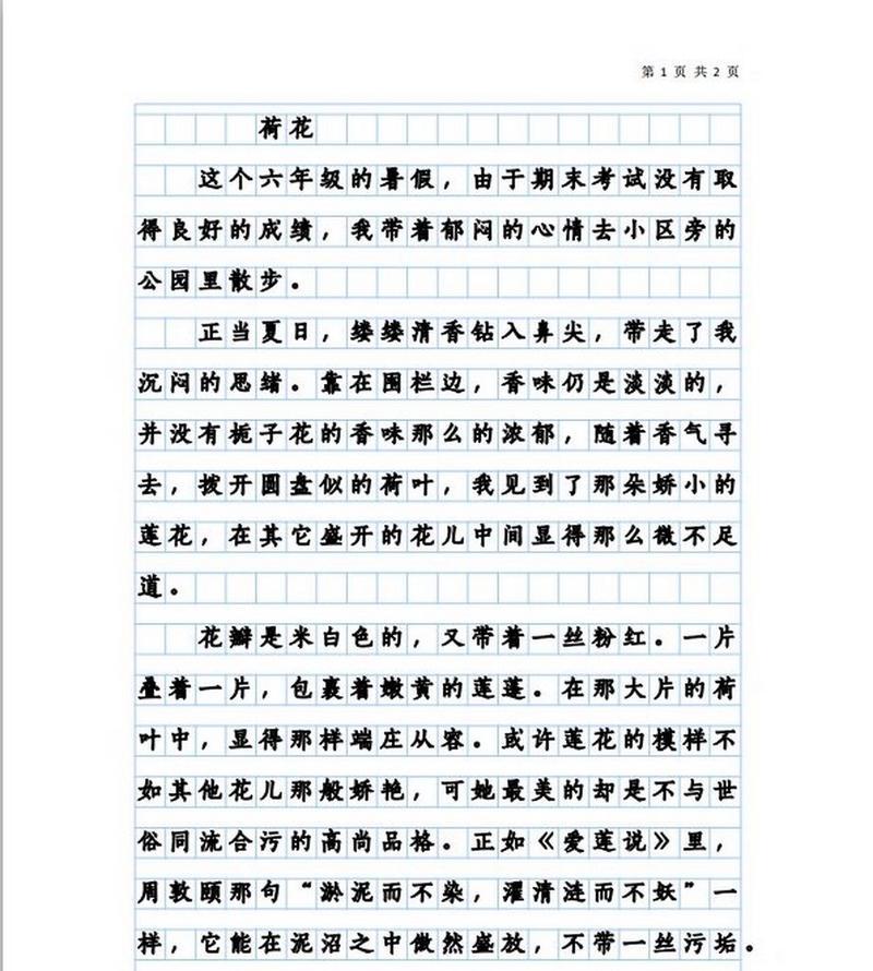 夏至盛夏期间荷花绽放（《夏至未至，荷塘花开》）