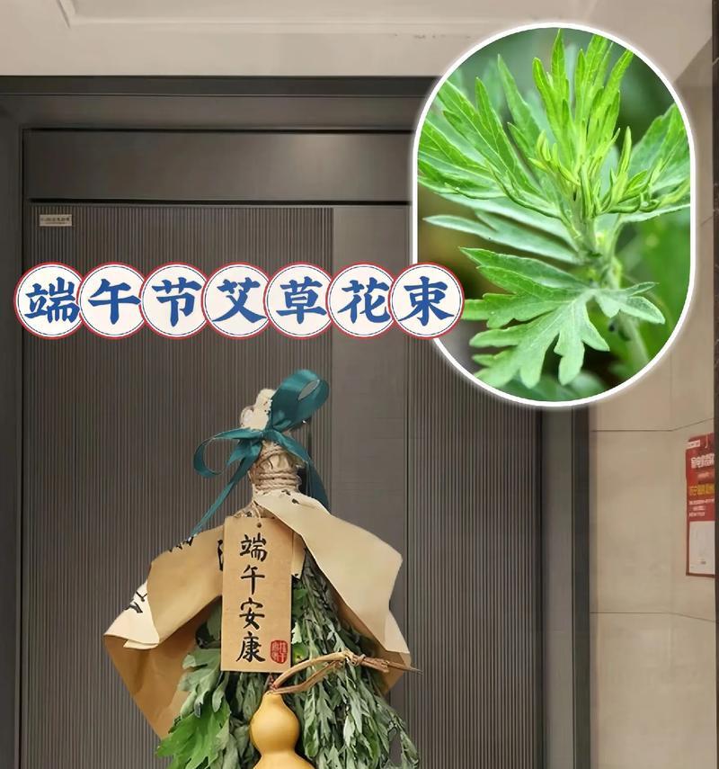 端午节鲜花祝福语（《端午轻吟：花语寄情，古韵今风》）