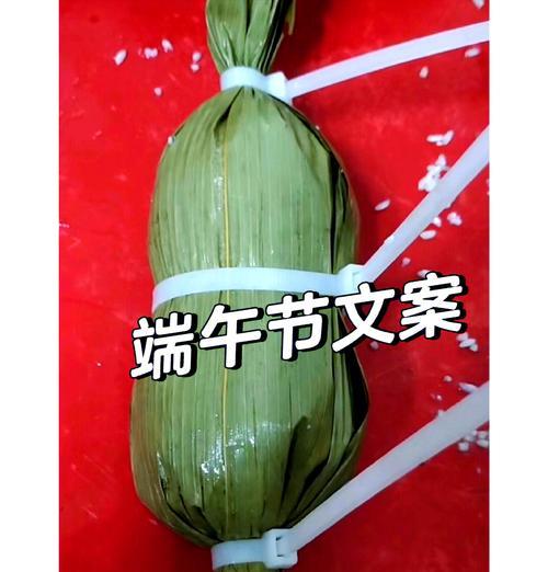 端午节搞笑文案怎么写（《屈子风流）