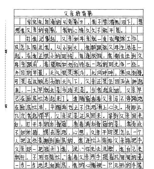 有关父亲节作文背影的作文怎么写（《背影——父亲节的温暖》）