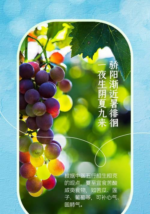 夏至节气文案怎么写？（《夏至风华：古韵今风绘时节》）