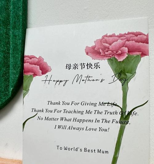 母亲节祝福语英汉好句有哪些？（《慈母手中线）