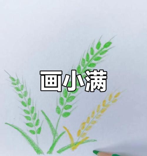 有关关于小满绘画教程的作文的作文怎么写（《春意盎然，画笔添彩——小满时节的绘画课堂》）