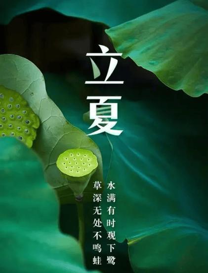 立夏第一天文案短句好句怎么写？（《立夏序：春去夏来，万象更新》）
