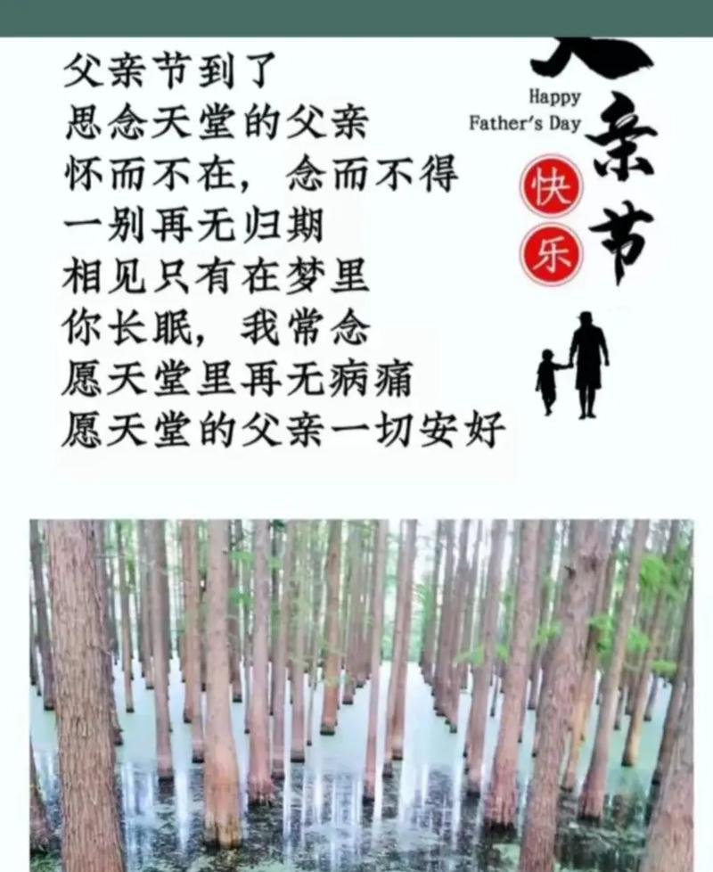 父亲不在了父亲节该怎么说（《缅怀之思：父影如山，情深似海》）