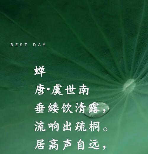 有关小满看见蝉的文案句子的短句怎么写（《夏意初显：小满与蝉鸣的故事》）