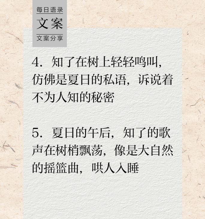 有关小满看见蝉的文案句子的短句怎么写（《夏意初显：小满与蝉鸣的故事》）