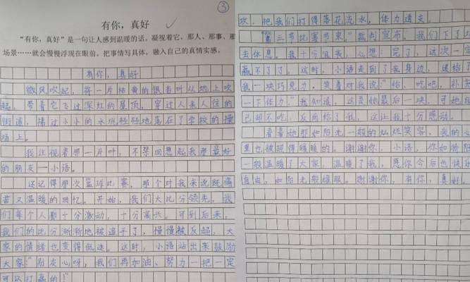 芒种杯征文300字三篇（《芒种时节的文学盛事：青春篇章》）