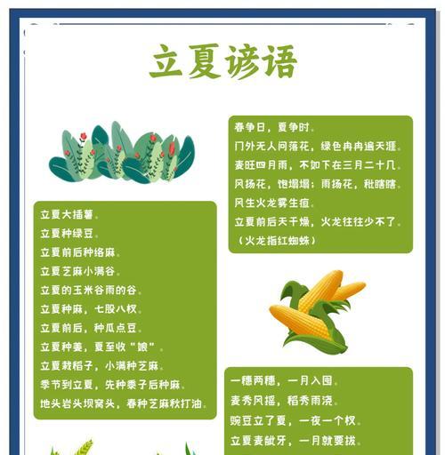 摘桑树果的说说（《立夏摘桑，古意盎然》）