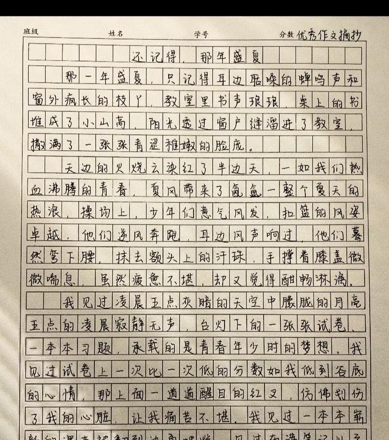 有关五年级夏至随笔作文的作文怎么写（《夏至日的光影交织》）