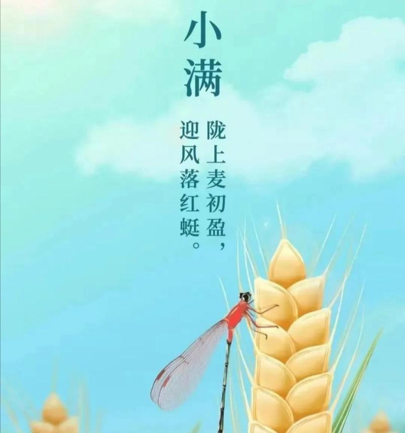 有关人生只有一个小满的句子的句子怎么写（《小满之华：人生若只如初见》）