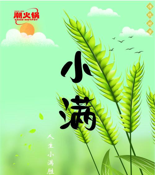 有关人生只有一个小满的句子的句子怎么写（《小满之华：人生若只如初见》）