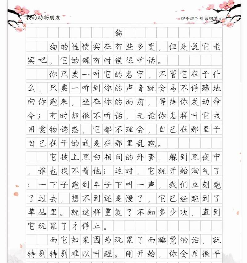 小满有什么特点（《小满是一只什么狗狗作文》）