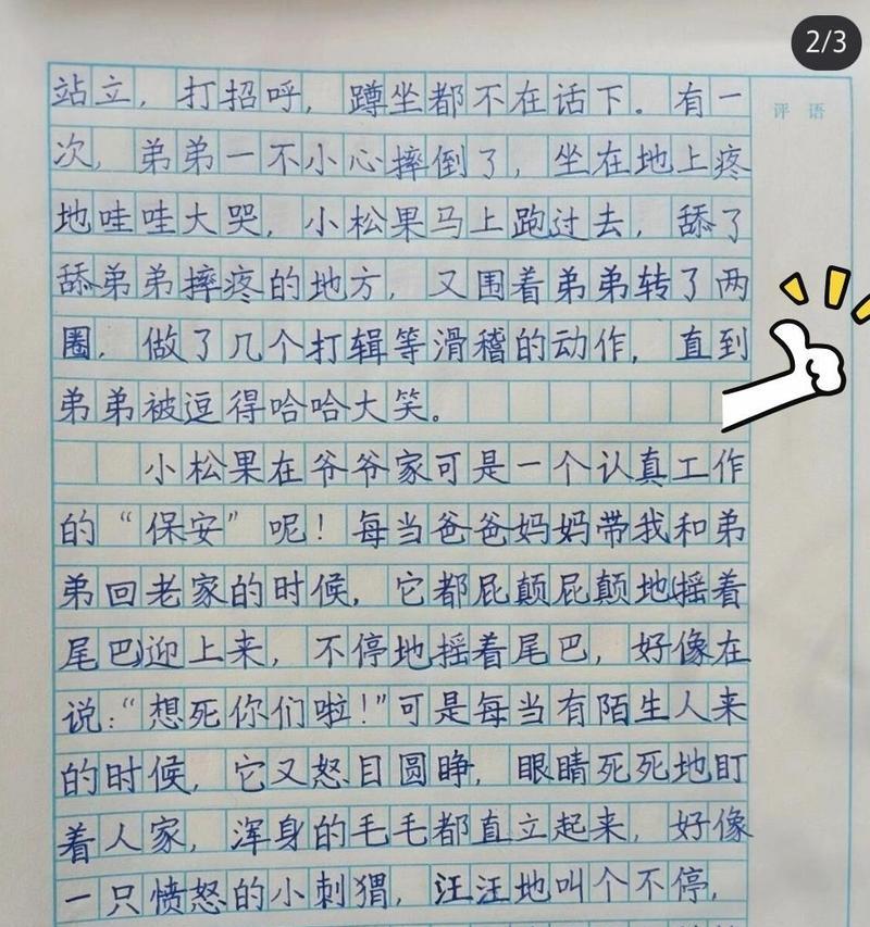 小满有什么特点（《小满是一只什么狗狗作文》）