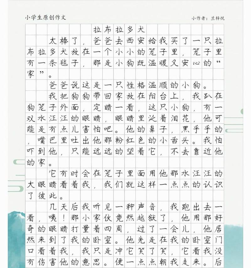 小满有什么特点（《小满是一只什么狗狗作文》）