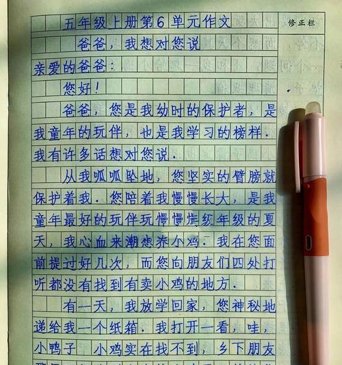 爸爸接我回家用英语怎么说（《父爱如山，归途有你》）