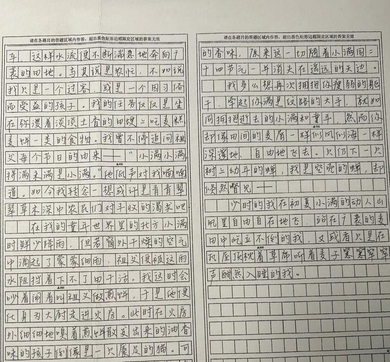 小满时节作文素材高中作文怎么找？（《小满时分的田野课堂》）