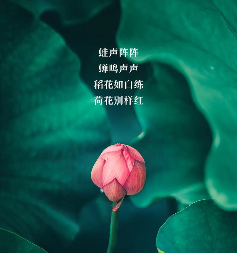 工地夏天工作时间（《夏至工地，古韵新章》）