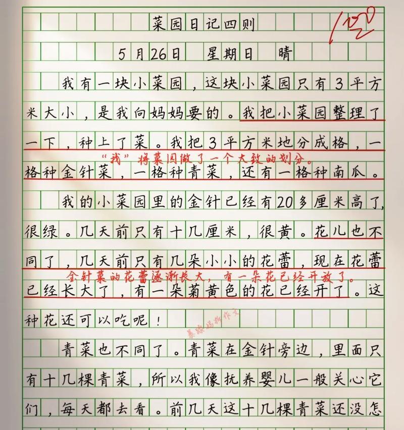 有关我家的菜园儿童节作文的作文怎么写（《童心未泯的绿野》）