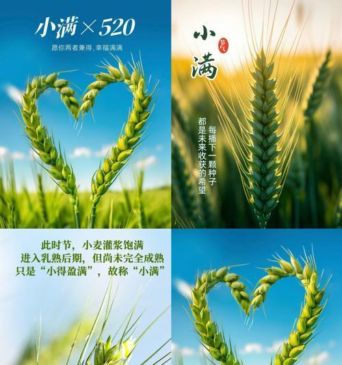 小满生日寓意（《小满之辰：生命细水长流》）